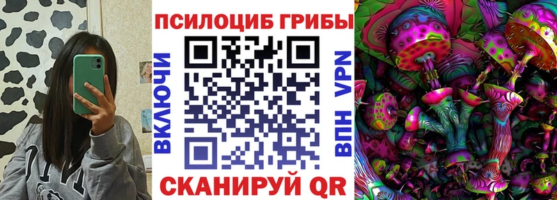Купить где  Данилов  Галлюциногенные грибы Cubensis 